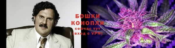 молекула духа Алзамай
