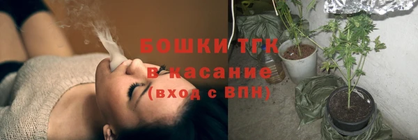 сатива Пролетарск