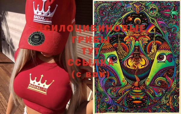 твердый Алексеевка